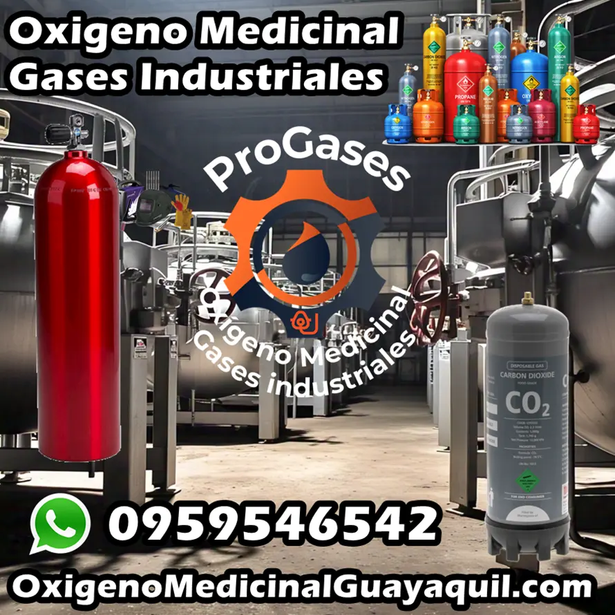 Productos 1 ProGases Oxigeno Medicinal Guayaquil. Globos con Helio. Gases Industriales. Venta Alquiler y Recarga de Cilindros Tanques. Insumos Medicos 17